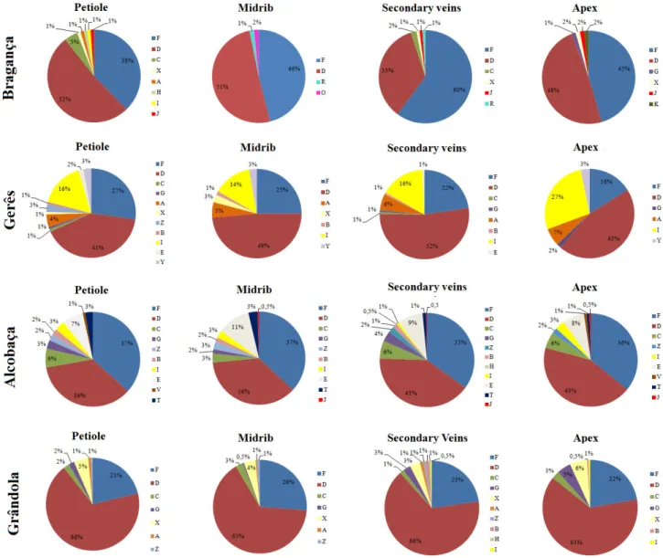 Figure  10.  Relative  abundance  of  different  fungal  morphotypes  on  the  four  different  leaf  regions (petiole; midrib; secondary veins and apex) in all four study sites