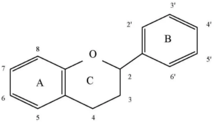 Figure 2. Flavonoid C6-C3-C6 skeleton. Two hydroxylated benzene rings (A and B) connected by a three  carbon chain that is part of a heterocyclic C ring