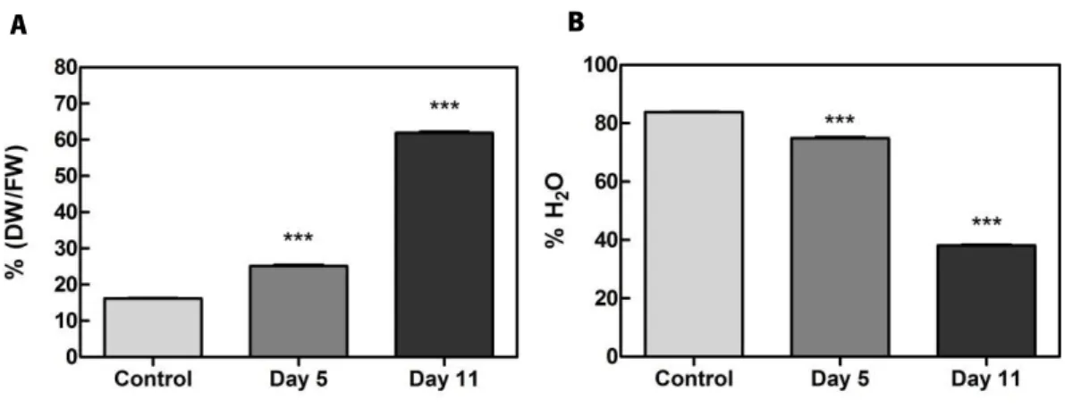 Figure 7. Effect of postharvest dehydration on the pH of grape berries. Measurement was made  in  grape  berry  tissues subjected to  five  and eleven  days  of  dehydration process  and  without treatment  (control)