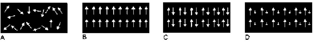 Figura 2.1 - Alinhamento de momentos magnéticos individuais em diferentes tipos de materiais: a) paramagnéticos; 