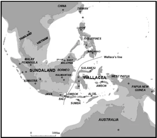 Figure 6. Map of Southeast Asia showing modern coastline (dark shading) and coastlines at the late glacial maximum (light  shading) indicating the extent of Sundaland and Wallacea