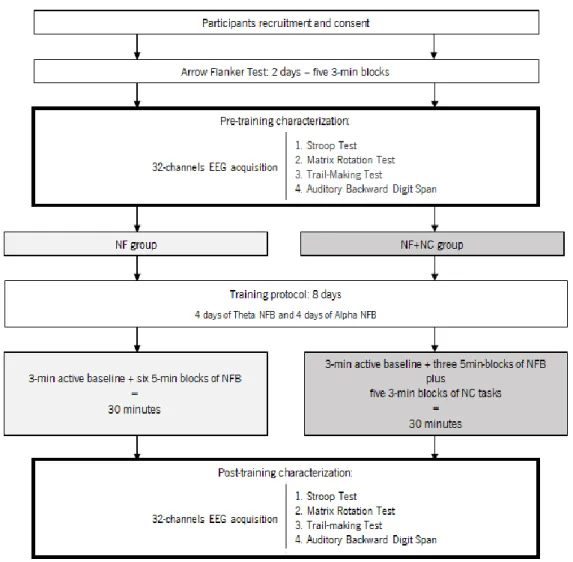 Figure 4.  Schematic diagram of the design and procedure in the present study protocol