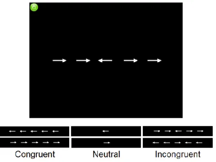 Figure 5.  Representative image of the Arrow Flanker Test implemented in the protocol