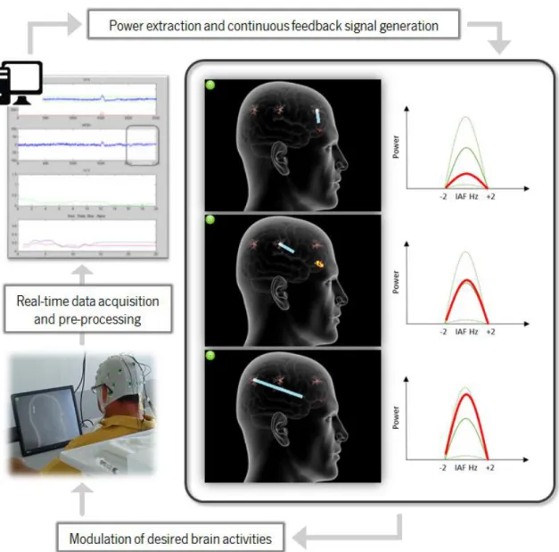 Figure 6.  Representative images of the Neurofeedback task implemented in the protocol