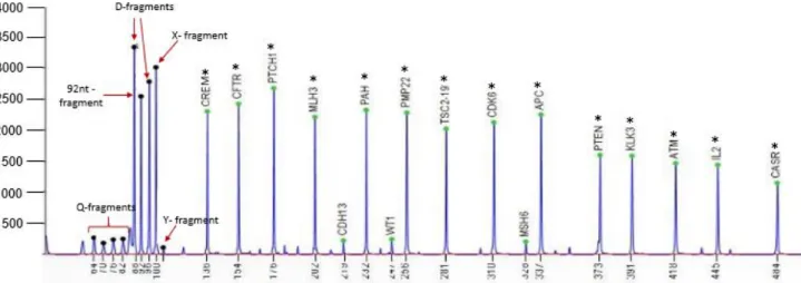 Figure 11- Methylation electropherogram of a male control sample analysed by MS-MLPA using SALSA  MLPA probemix ME002