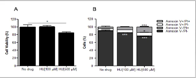 Figure 10 – Hydroxyurea (HU) cytotoxicity in HL-60 cells. Cells were incubated during 18h with HU, and  after this time, cell viability was measured by MTS (A) and Annexin V/PI (B) assays, as described in Material and  Methods section