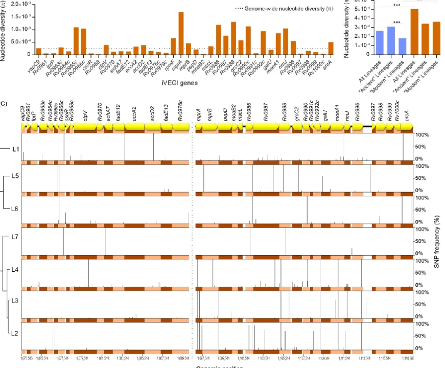 Figure 6. Comparative genomics analysis of the iVEGI. (A) Nucleotide diversity of individual iVEGI genes