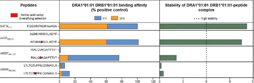 Figure 10. In vitro validation of the candidate CD4 +  T cell epitopes under diversifying selection
