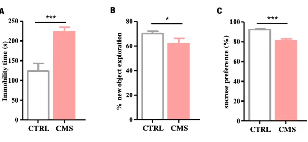 Figure  4.  Behavioral characterization of the animals on the fourth week of the uCMS protocol 