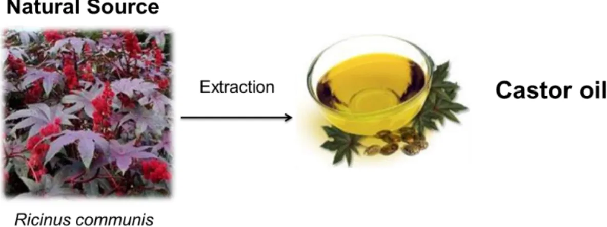 Figure 1 Extraction of castor oil from  Ricinus communis  plant seeds. Castor oil, a pale yellow colored oil, eco-friendly, non-volatile and non- non-drying in nature
