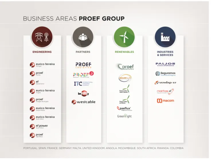 Figura 1 - Áreas de Negócio do Grupo Proef 