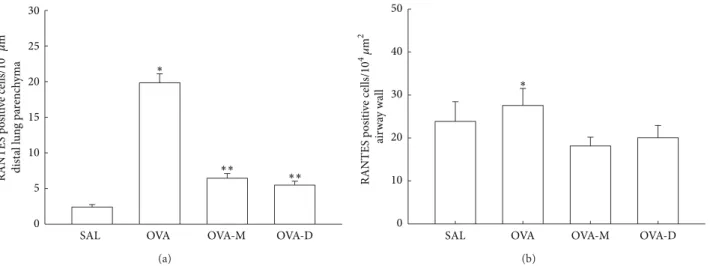 Figure 3: (a) Mean and SEM values of RANTES positive cells in distal lung of GP that previously inhaled normal saline or ovalbumin and ater the 4th inhalation GP were treated with montelukast (OVA-M group) and dexamethasone (OVA-D group)