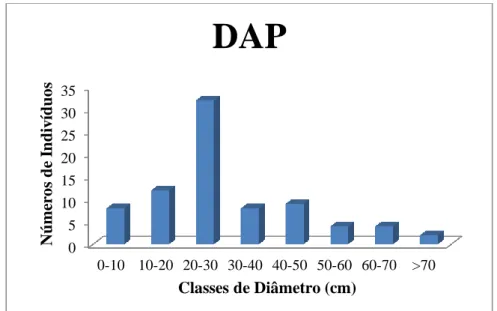 Figura  04.  Classes  de  diâmetro  encontradas  na  arborização  das  áreas  verdes  do  município  de  Júlio  Mesquita/SP