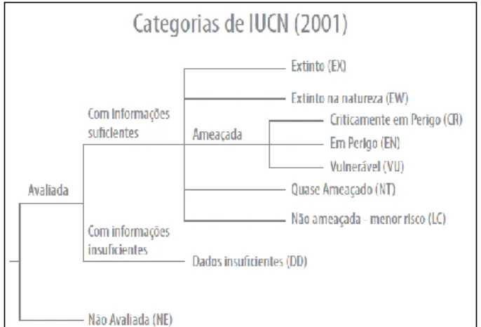 Figura  4.  Fluxograma  da  União  Internacional  para  a  Conservação  da  Natureza  que  dispõe  sobre as categorias de status de conservação da  fauna silvestre