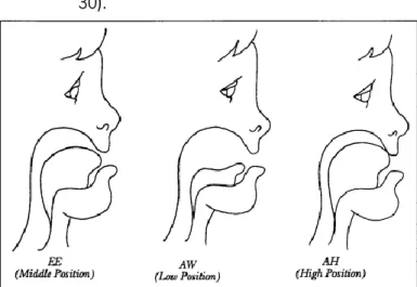 Figura 3 – Posições da língua (Liebman, 1989, p. 24)