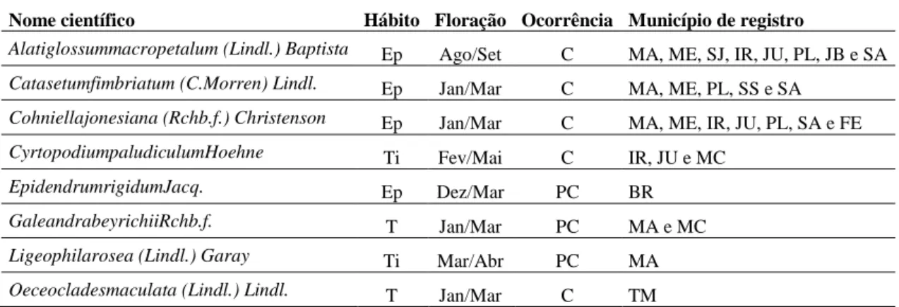 Tabela 1 – Espécies de Orchidaceae encontradas na região Oeste e Noroeste do Estado de São Paulo   