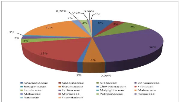Figura 2. Distribuição relativa (%) dos indivíduos por família plantada na arborização de João Pessoa  no período 2011-2013