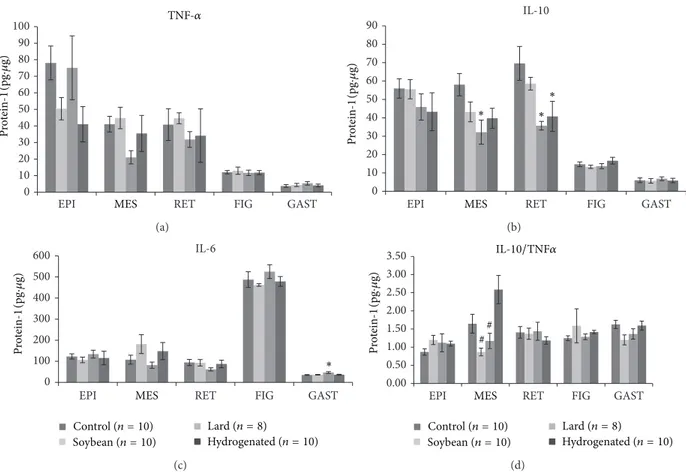 Figure 1: Cytokines levels (IL-6 (pg/ug protein-1) in adipose tissue depots, liver, and gastrocnemius muscle of studied mice groups—(C) control group, (S) soybean, (L) lard, and (H) hydrogenated vegetable fat groups