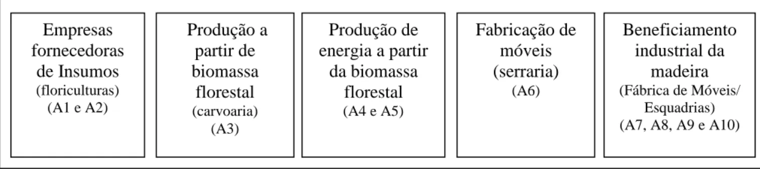 Figura 1. - Segmentos do setor florestal para fins energéticos presentes no município de Niquelândia