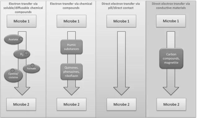 Figure 1.2 – Different mechanisms for interspecies electron transfer; adapted from Morris et al