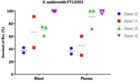 Figure  1 3 |   Percentage  of  survival  of  S.  epidermidis  PT1 2 0 0 3  Brc  after  incubation  with  whole  human  blood  and  plasma  (comparing  to  T 0   h  with  a  concentration  of  1  ×  1 0 9 CFU/ mL).