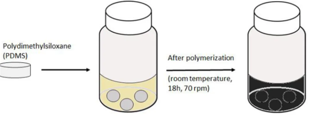 Figure  5.  Schematic  representation  of  immobilization  strategy  of  pDA  onto  PDMS  material