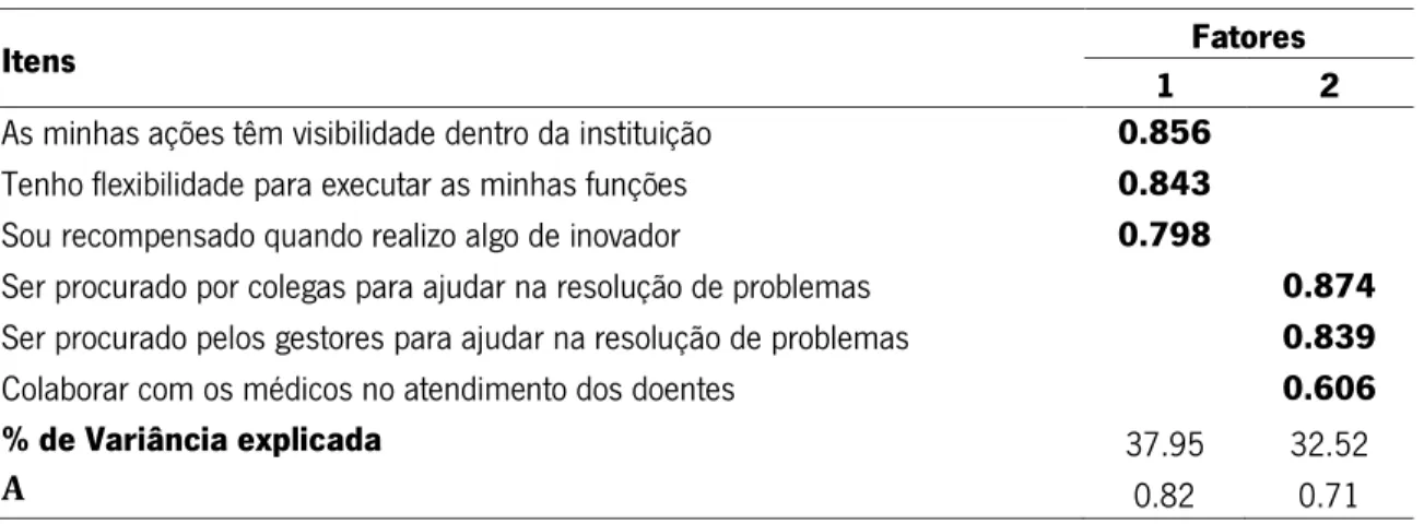 Tabela 5- Matriz obtida para os Itens Relativos ao Empoderamento Global 