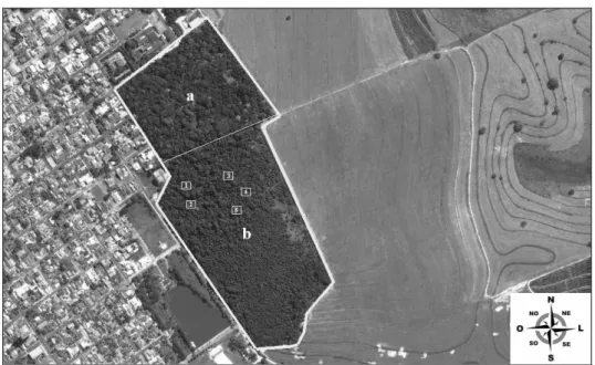 Figura 1. Vista aérea do Bosque Municipal ‘Dr. Belírio Guimarães Brandão’ – Garça, SP (em destaque)  onde: a – área de visitação; b – área estudada, onde os quadrados numerados de um a cinco representam as  parcelas alocadas nas áreas ocupadas pela mata na