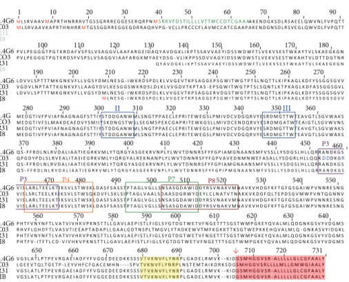 Figure 1: Alignment of amino acid sequences of some representatives of the GP82 family