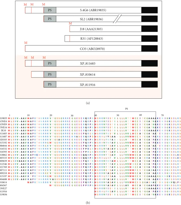 Figure 2: he modular architecture of GP82 family. (a) Structure of GP82 core proteins deduced from cDNA and genomic sequences.