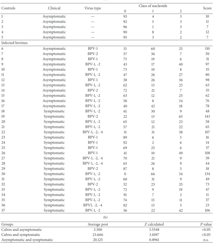 Table 1: (a) Results of molecular diagnosis of calves (negative control) and asymptomatic and symptomatic adult cattle, showing the BPV type, the frequency of nucleoids observed per class, and the comet score