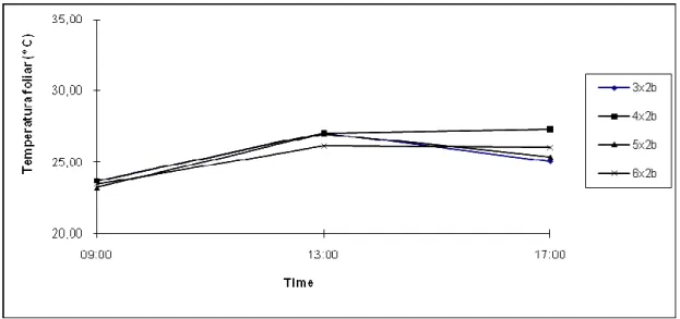 Figure 15 – Leaf Temperature of B. decumbens, in consortium with E. grandis, in april, in different spacing