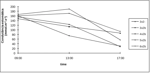 Figure 5 - Stomata conductance of E grandis’ leave in consortium with B. decumbens, in april, in different spacing