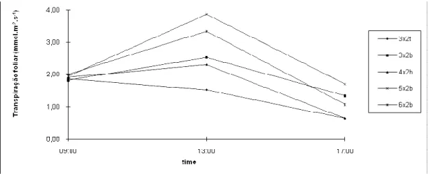 Figure 9 – Leaf transpiration of the consortium between E. grandis and B. decumbens, in april, in different spacing