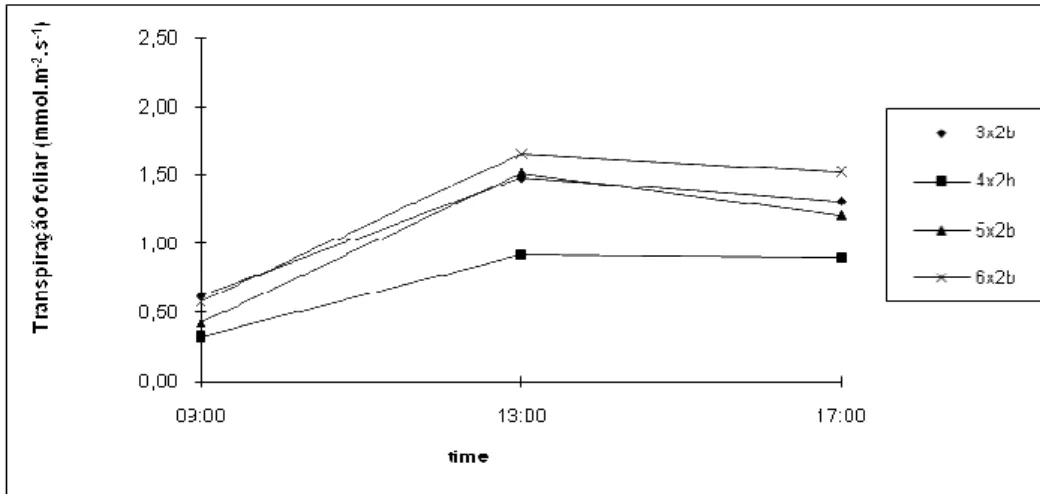 Figure 11 – Leaf transpiration of B. decumbens in consortium with E. grandis, in April, in different spacing