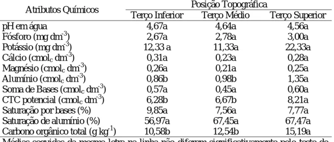 Tabela 9 – Valores médios dos atributos químicos do solo, na profundidade de 0,20- 0,20-0,40 m, estudados em diferentes posições topográficas