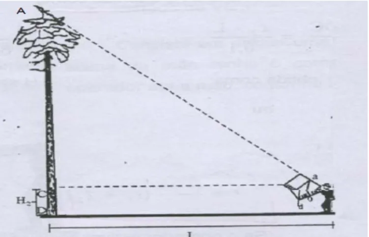 Figura 02 – Medição da altura com o hipsômetro Forestor  Vertex. 