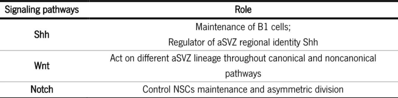 Table 1: Signaling pathways involved in the modulation of the aSVZ. 