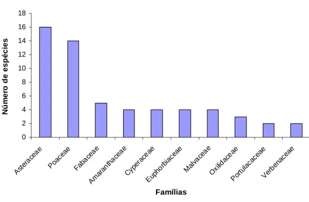 Figura 01 – Número de espécies nas diferentes famílias estudadas das classes  Liliopsida e Magnolipsida 
