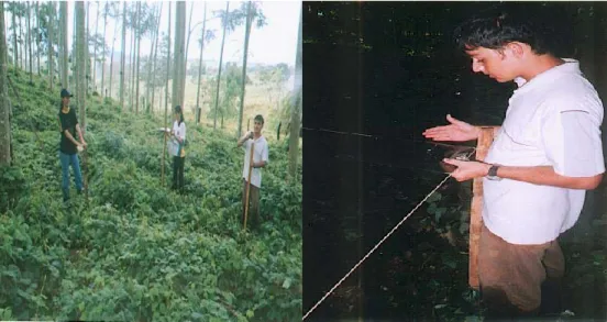 Figura 1. Esquadrejamento das parcelas nos povoamento de Pinho – Cuiabano (Schizolobium amazonicum Hub.) e Teca (Tectona grandis L.F.) no Inventário Florestal do Sítio Estrela
