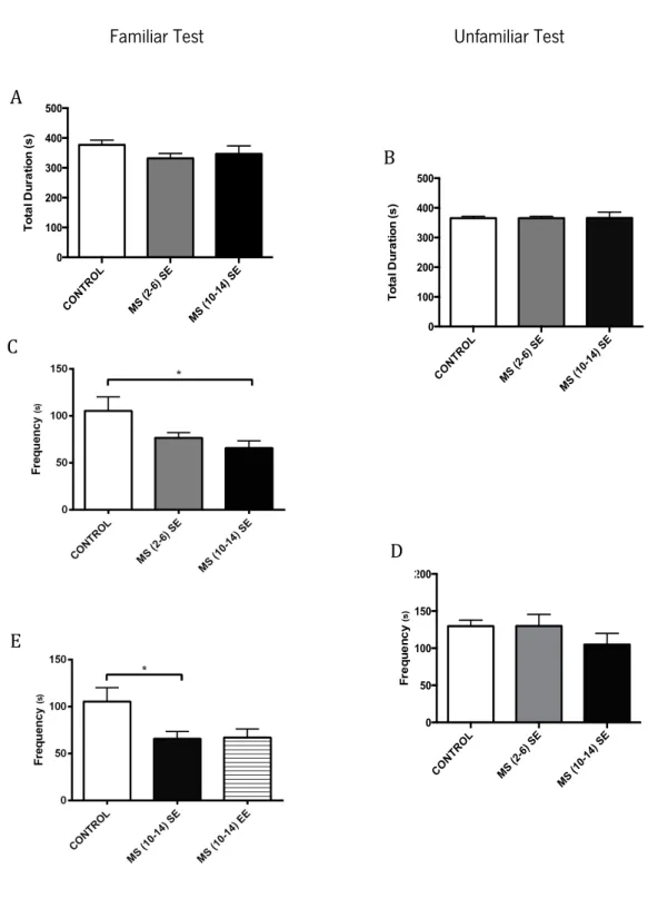 Figure 15 – Effects of MS and different environmental conditions during the social interaction tests: familiar (A, C and E)  and unfamiliar (B, D) for the non social activities behavior