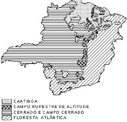 Figura 1: Classificação da cobertura vegetal do Estado de Minas Gerais  (GEOMINAS, 2002)