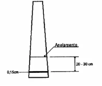 Figura 3. Técnica de anelamento Fonte: Rocha  (2000)
