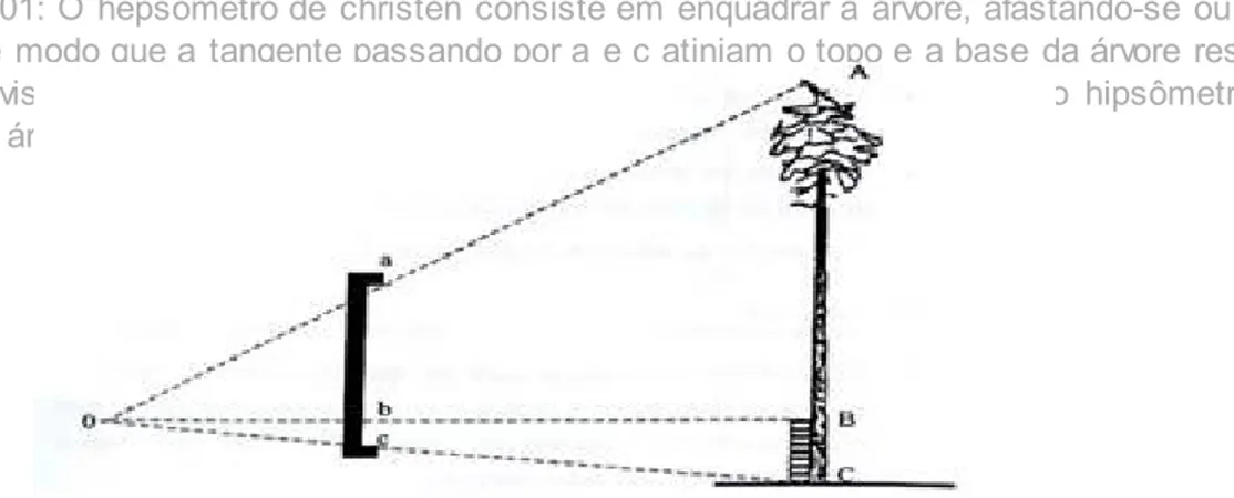FIGURA 01: O hepsometro de christen consiste em enquadrar a árvore, afastando-se ou aproximando-se desta, de modo que a tangente passando por a e c atinjam o topo e a base da árvore respectivamente