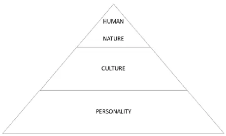 Figura 2 - Três níveis da programação mental  