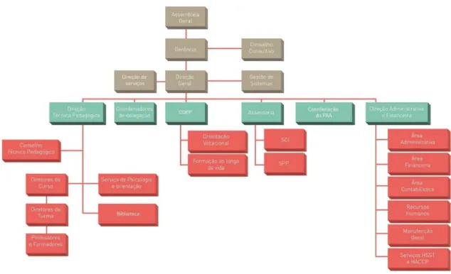 Figura 1 - Organigrama da Instituição