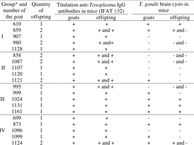Table 4. Results of the bioassay using mice that were inoculated with tissue fragments  of infected and reinfected goats with Toxoplasma gondii and their offspring