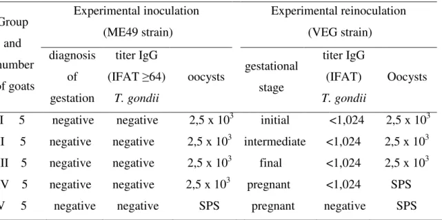 Table  1.  Experimental  design  of  goats  that  were  non-inoculated,  inoculated  and  reinoculated  orally with Toxoplasma gondii oocysts