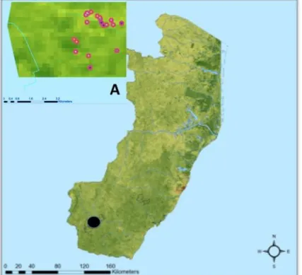 Figure  1-  Map  1-  Main  map  of  Espirito  Santo  State,  Brazil,  showing  the  areas  where  the  armadillos  were  captured  (demarcated  circled  area  in  black)