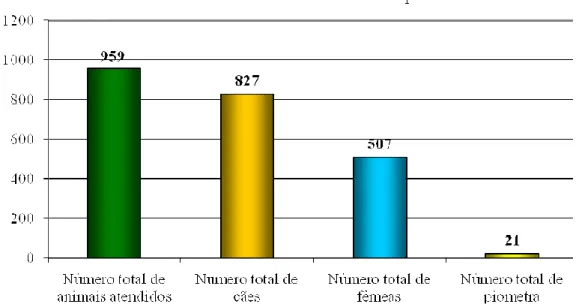 Figura  1:  Número  total  de  atendimentos,  de  cães,  de  fêmeas  caninas  e  de  casos  de  piometra  nas  três  principais  clínicas  veterinárias  do  município  de  Ituverava/SP  no  primeiro semestre de 2011.